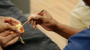 Hétfőnként 18.00-kor