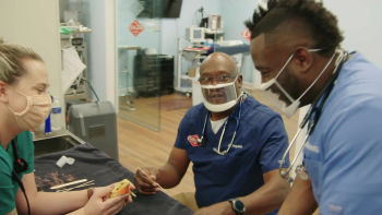 Dva kamarádi a jeden velký zvěřinec