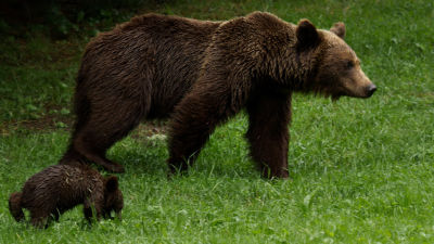 Jeden kontinent, mnoho světů