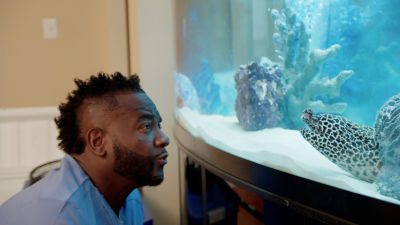 Luni 9 februarie 19:00