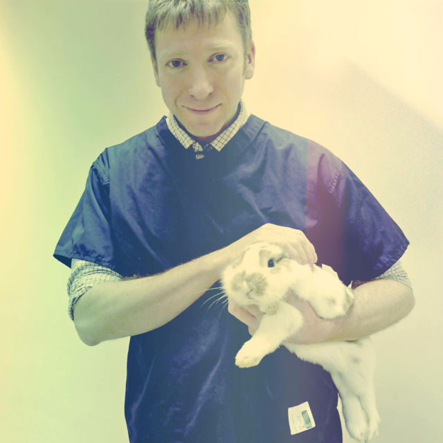 Veterinar în Yorkshire