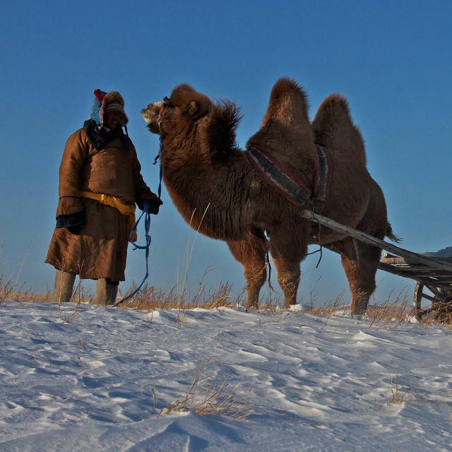 Amur: Asia's Amazon