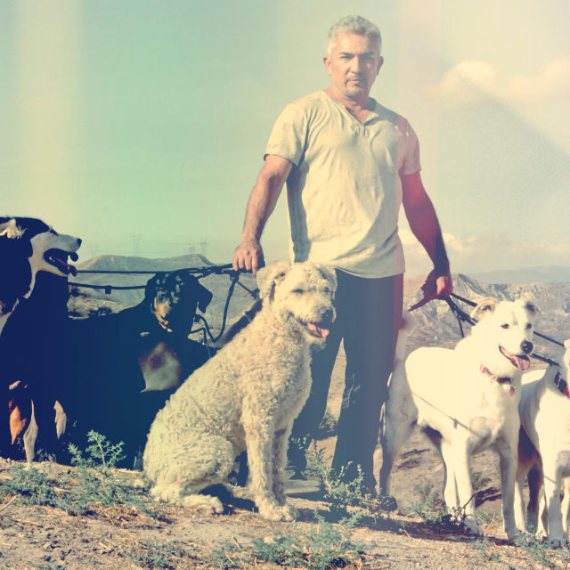 Cesar Millan's Leader of the Pack