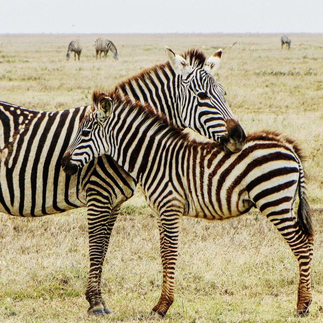 Smrtící africká říše