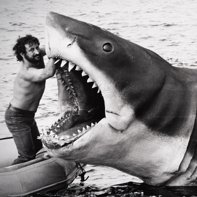 Jaws @ 50: The Definitive Inside Story