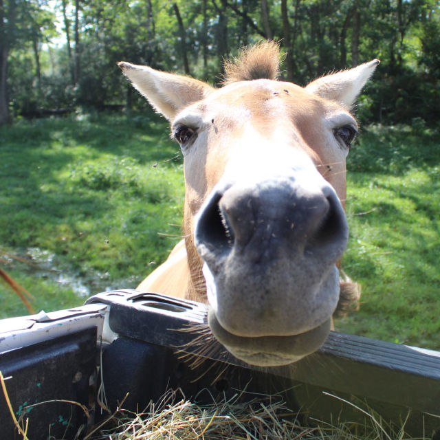 Hemmelighederne i Zoo S3 sammendrag