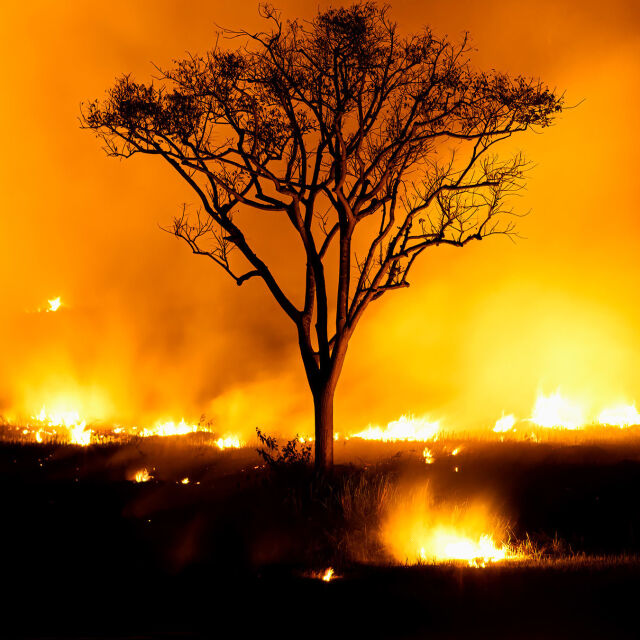 Historialliset katastrofit