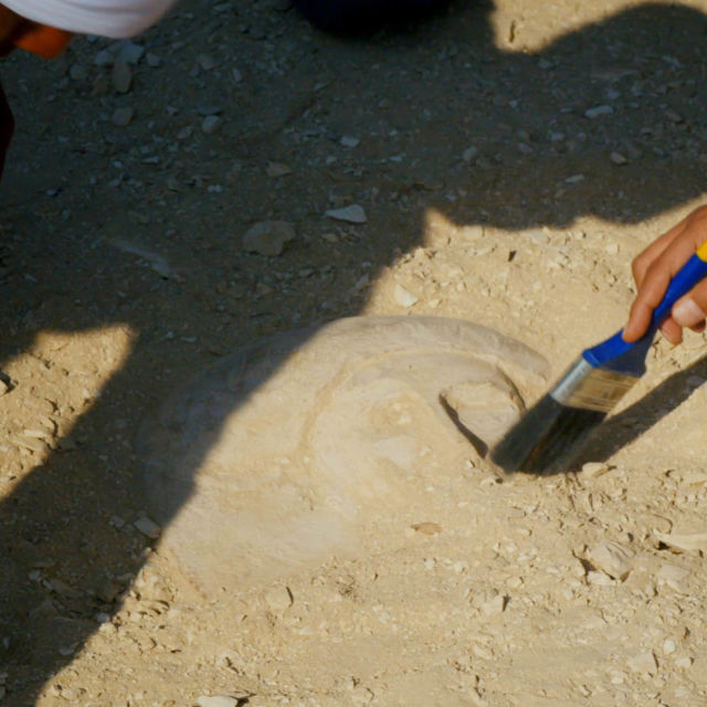 Χαμένοι Θησαυροί της Αιγύπτου - Ειδική Έκδοση