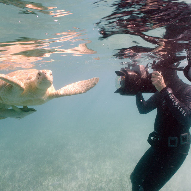 Φωτογράφος