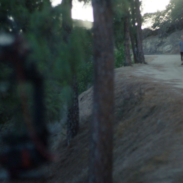 הצילו, משהו נשך אותי