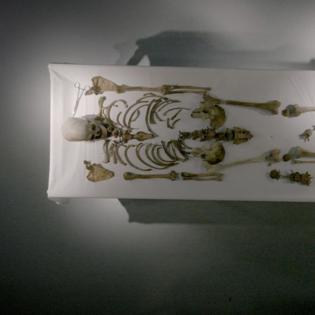 Naming the Dead