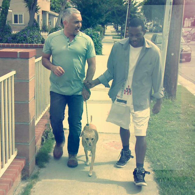 Cesar Millan na ratunek