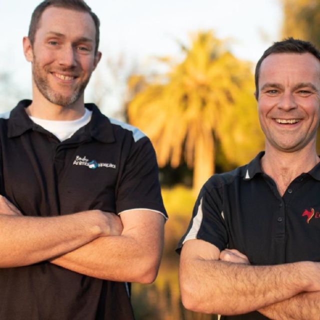 Veterinari în Australia