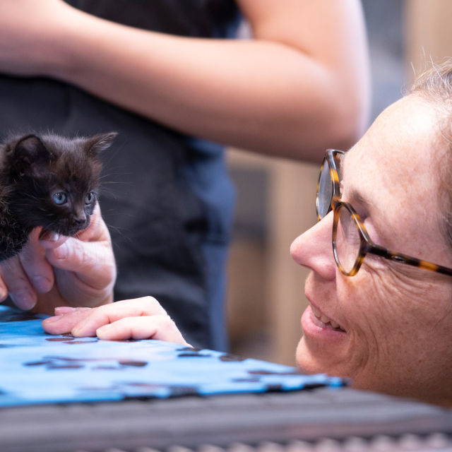 Dr Oukli: Veterinar iz Jukona
