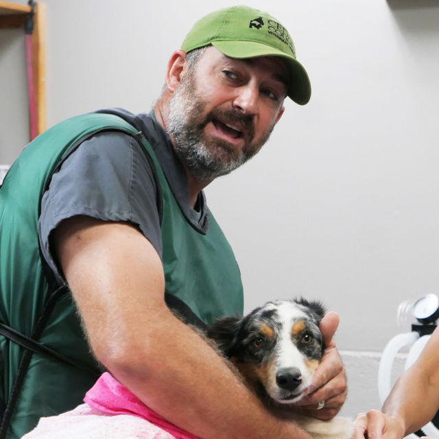 Veterinarja iz osrčja divjine