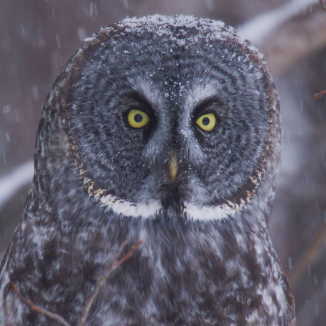 Amerika'nın Ulusal Parkları 2