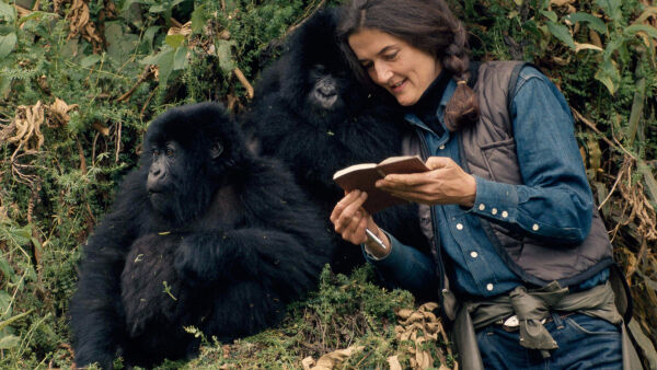 Dian Fossey