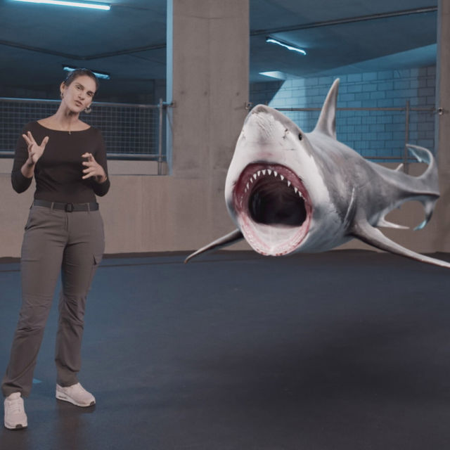 Shark Attack 360