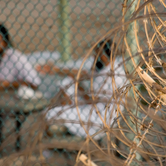 Guantanamo's Secrets