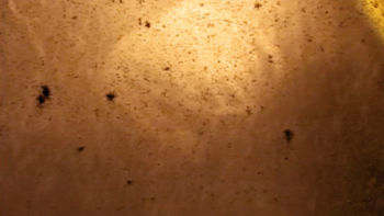 Μέσα στο Χάος