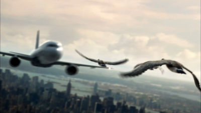 Πτηνά, ο θανάσιμος εχθρός