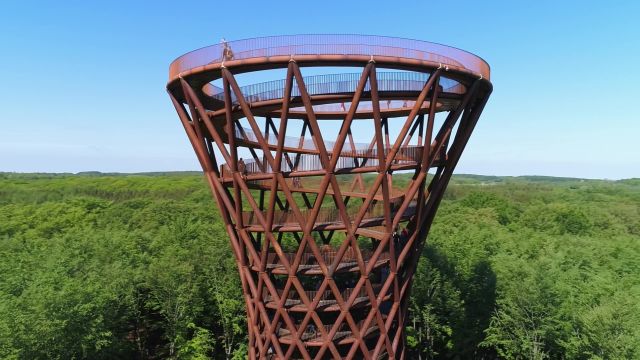 National Geographic besøger Skovtårnet på Sjælland