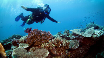 Built To Survive - Trailer