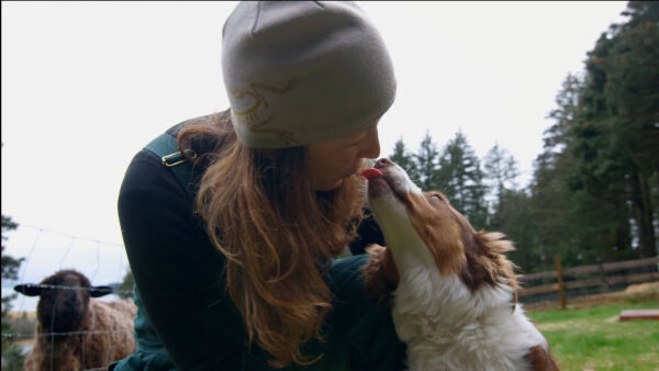Animal A&E - Trailer
