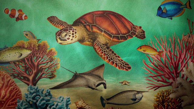 Pod hladinou oceánů