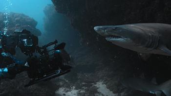 Estreno 7 julio 18.00