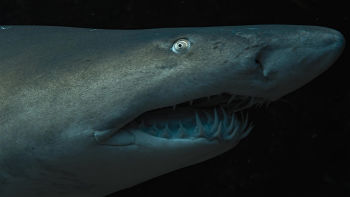 Július 27-én 14.25-kor