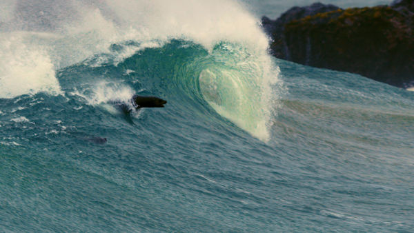 Coastal Odyssey - Trailer