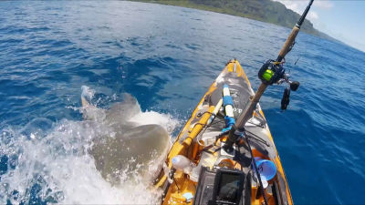 Miercuri 3 septembrie19:00