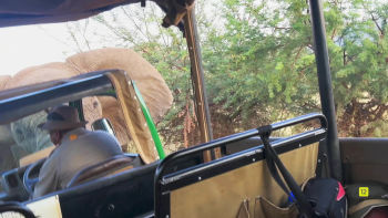 estreno 3 septiembre 18.00