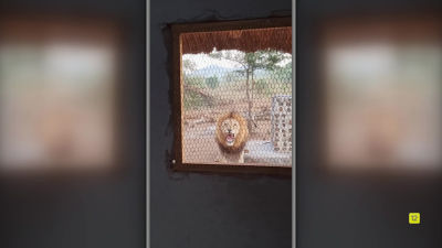 nuevo episodio miércoles 18.00