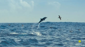 estreno 21 septiembre 18.00