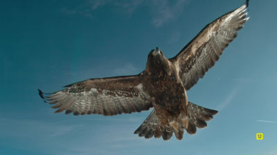 Estreno 15 de noviembre