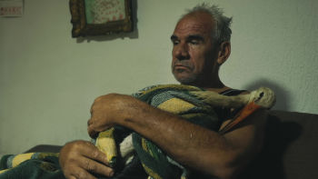 Nečekané pouto mezi člověkem a zvířetem