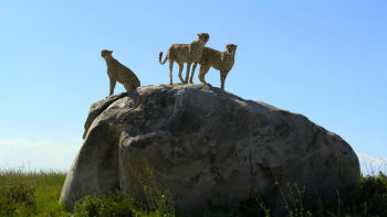 Sâmbătă 3 ianuarie 19:00