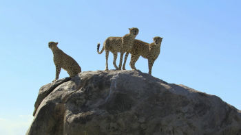 ΣΑΒΒΑΤΟ 3 ΙΑΝΟΥΑΡΙΟΥ 19.00