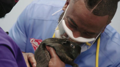 Estreno 9 de febrero 18:00