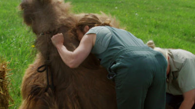 Dra Oakley: amor por los animales - Estreno 4 de febrero 18:00