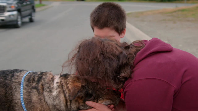 Dra. Oakley: Amor por los animales