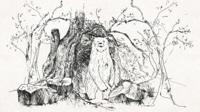 The Bear Trail - Video