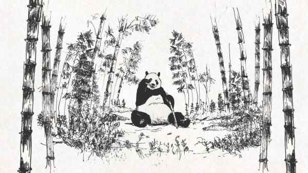 Vahşi Ayılar Kuşağı - Tanıtım