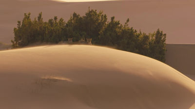 Creat pentru supraviețuire - Duminică 5 aprilie 19:00