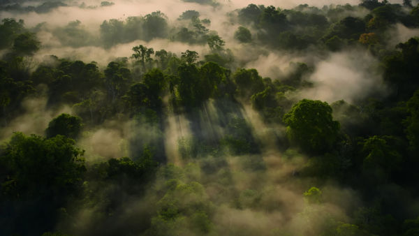 THIS EARTH MONTH STEP INTO WONDER