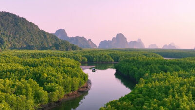 Asia Month - Trailer