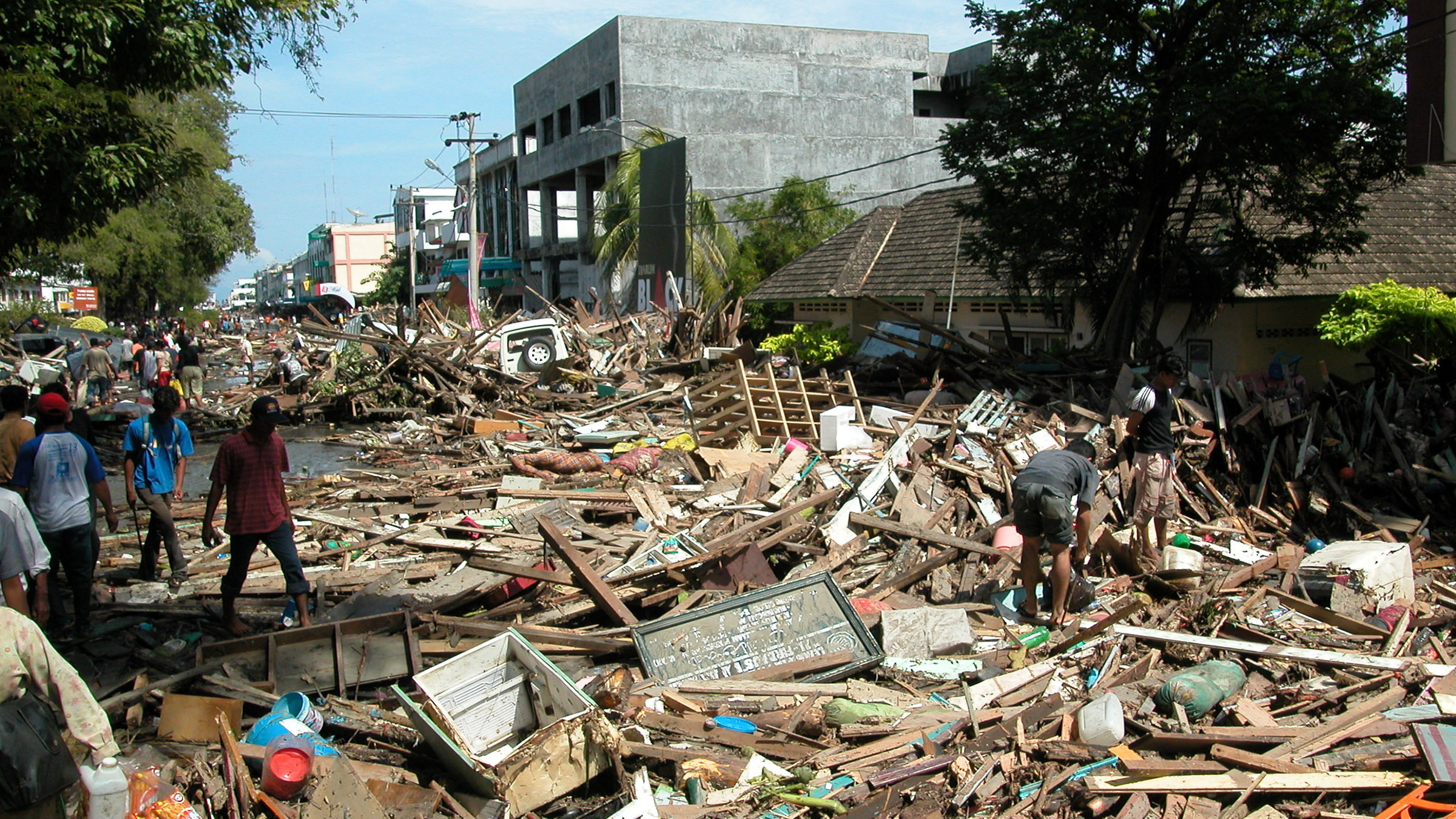 Tsunami 2025 documentary national geographic