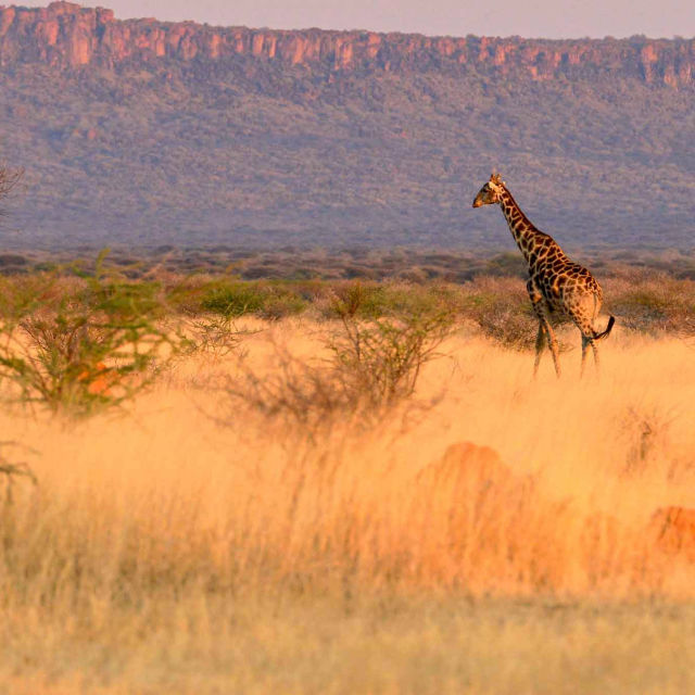 Namibia, kjempenes rike